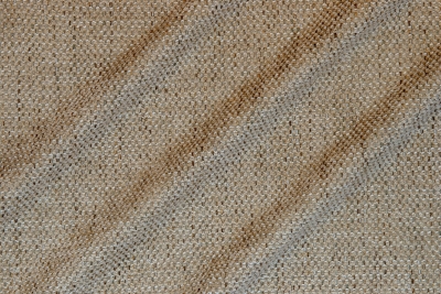 RIKEN-1009